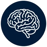 brain new (1)